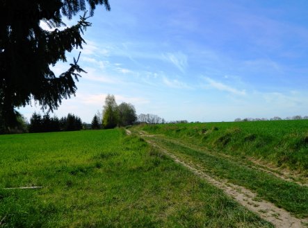 Prodej pozemku pro bydlení, 984 m²