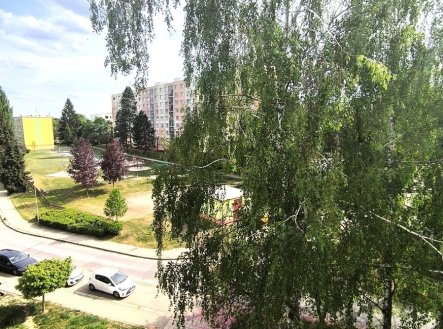 img-20260517-wa0003.jpg | Pronájem bytu, 3+1, 64 m²