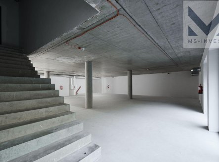 Prodej obchodní prostory, 216 m²