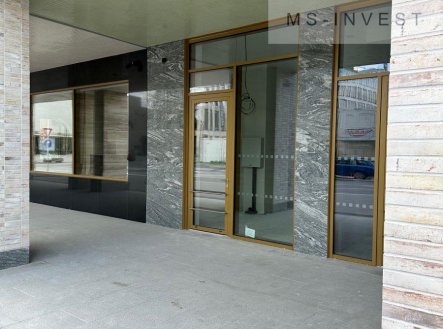 Prodej obchodní prostory, 92 m²