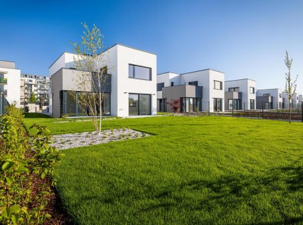 Prodej domu/vily, 295 m²