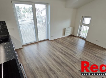 Pronájem bytu, 1+kk, 47 m²