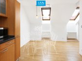 Pronájem bytu, 4+kk, 163 m²
