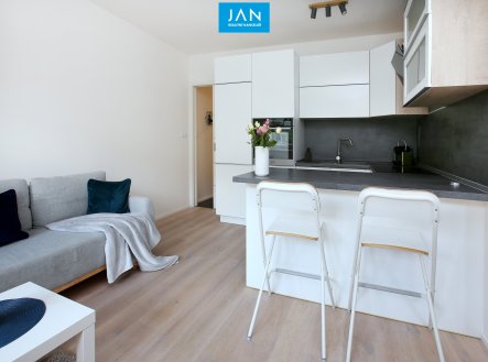 Pronájem bytu, 2+kk, 47 m²