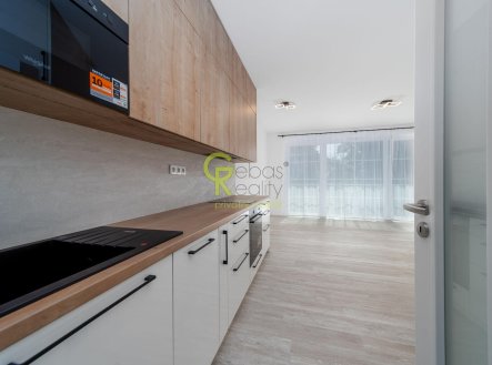 Pronájem bytu, 1+kk, 45 m²