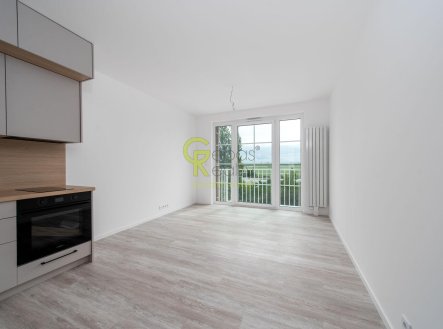 Pronájem bytu, 1+kk, 29 m²