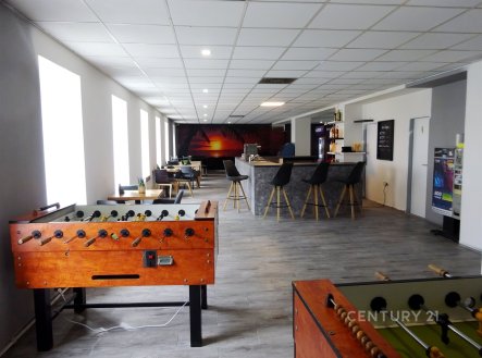 Pronájem obchodní prostory, 253 m²