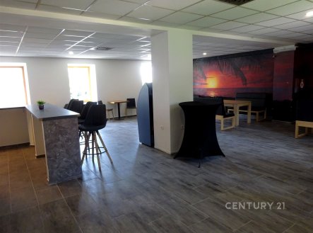 Pronájem obchodní prostory, 253 m²