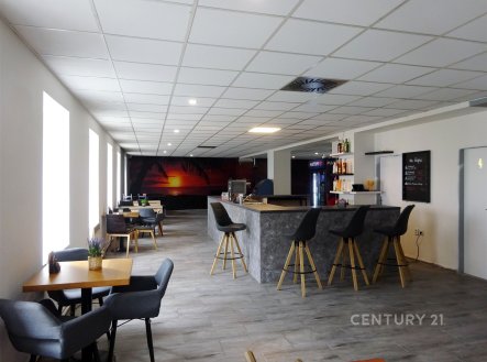 Pronájem obchodní prostory, 253 m²