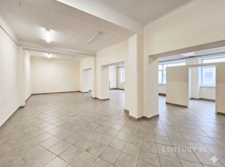 Prodej jiné komerční nemovitosti, 273 m²