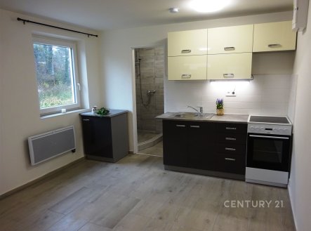 Pronájem bytu, 1+kk, 26 m²