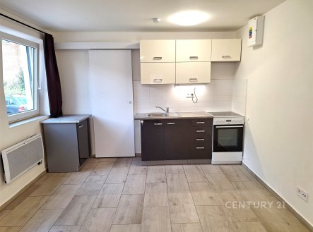 Pronájem bytu, 1+kk, 26 m²