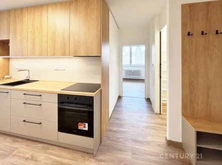 Pronájem bytu, 3+1, 70 m²