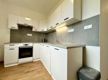 Pronájem bytu, 2+1, 55 m²