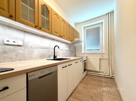 Pronájem bytu, 2+1, 53 m²