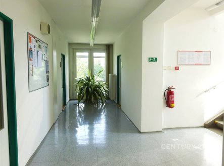 Pronájem kanceláře, 33 m²
