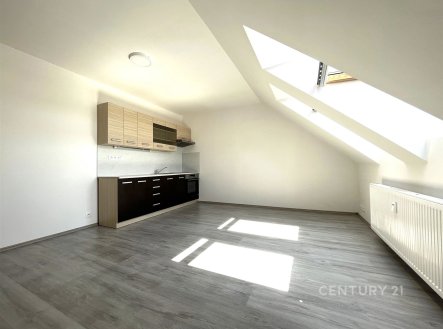 Pronájem bytu, 1+kk, 38 m²