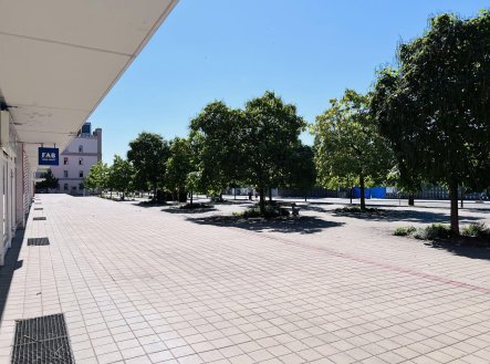 Pronájem bytu, 1+kk, 30 m²