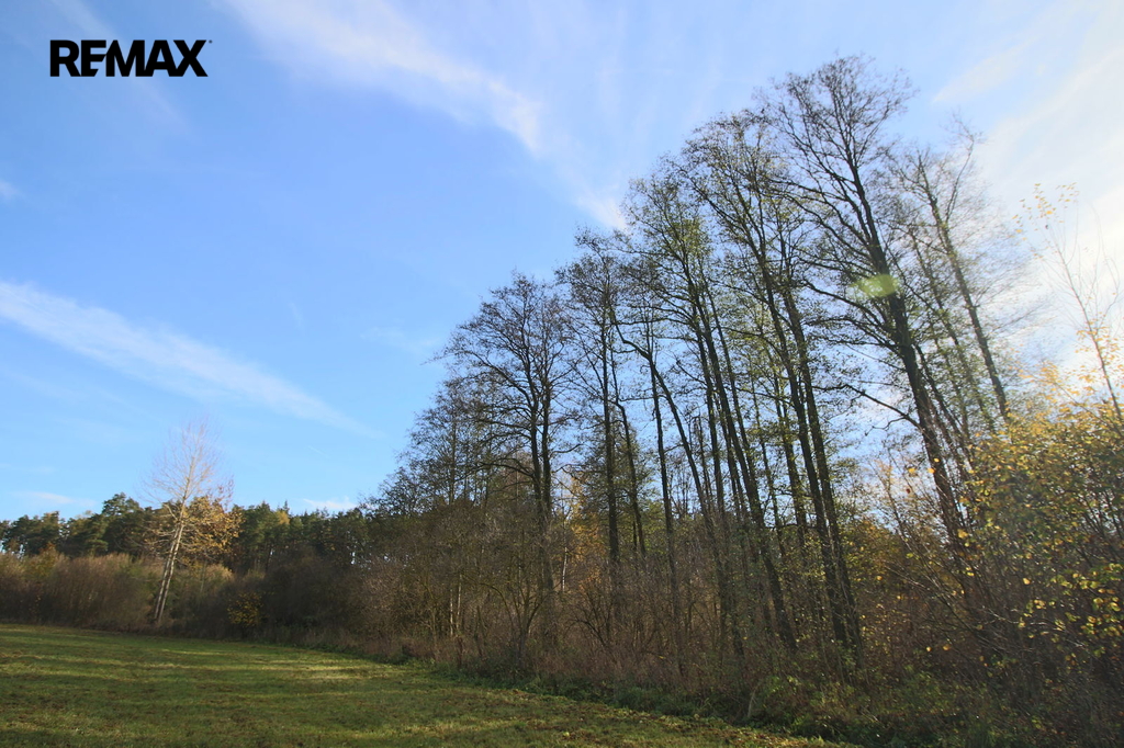 img-8383.jpg