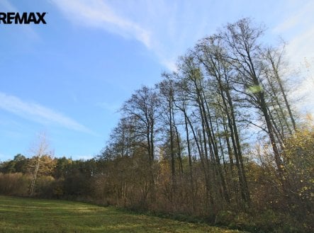 Prodej pozemku, les, 19 636 m²