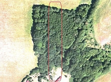 Prodej pozemku, les, 3 954 m²