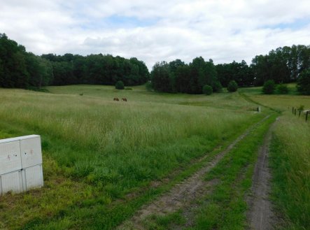 Prodej pozemku, trvalý travní porost, 4 005 m²