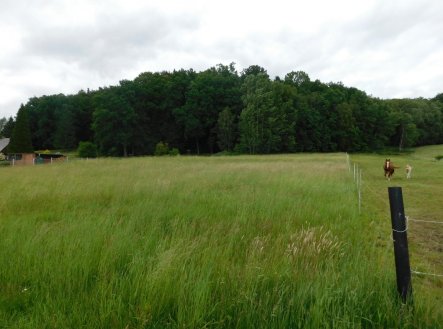 Prodej pozemku, trvalý travní porost, 4 005 m²