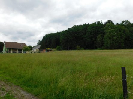 Prodej pozemku, trvalý travní porost, 4 005 m²