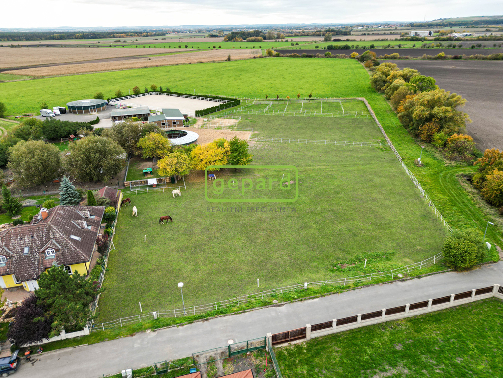 dji-0243.jpg