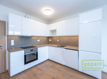 Pronájem bytu, 3+kk, 66 m²