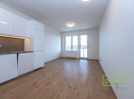 Pronájem bytu, 3+kk, 66 m²
