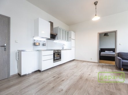 Pronájem bytu, 2+kk, 54 m²