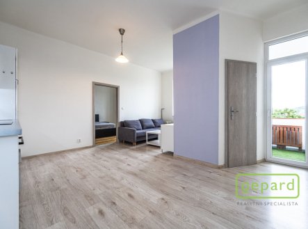 Pronájem bytu, 2+kk, 54 m²