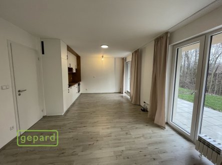 Pronájem bytu, 1+kk, 45 m²