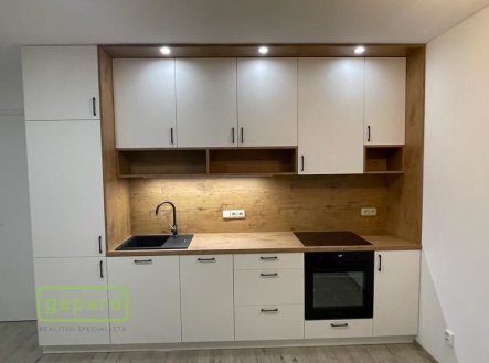 Pronájem bytu, 1+kk, 45 m²