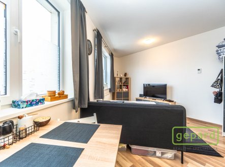 Pronájem bytu, 1+kk, 26 m²