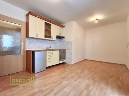 Pronájem bytu, 1+kk, 21 m²