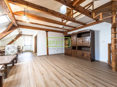 Prodej bytu, 5+1, 208 m²