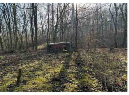 Prodej - pozemek, trvalý travní porost, 1 008 m²