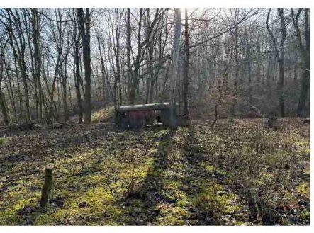 Prodej pozemku, trvalý travní porost, 1 008 m²