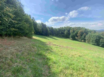 Prodej pozemku, trvalý travní porost, 10 593 m²