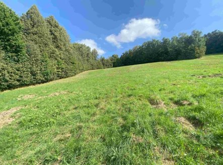 Prodej pozemku, trvalý travní porost, 10 593 m²