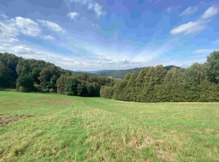 Prodej pozemku, trvalý travní porost, 10 593 m²
