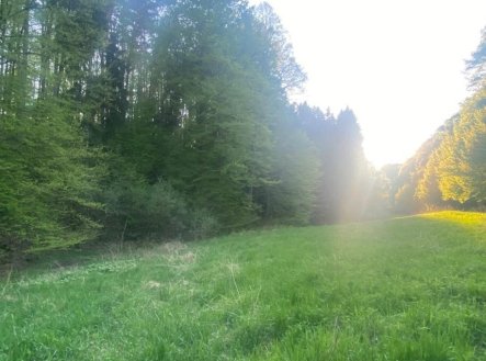 Prodej pozemku, trvalý travní porost, 3 829 m²