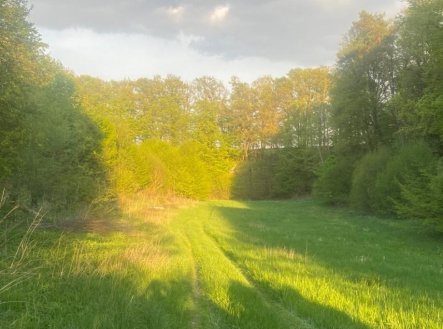 Prodej pozemku, trvalý travní porost, 3 829 m²