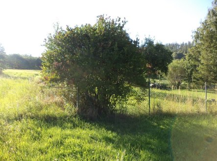 Prodej pozemku, zahrada, 694 m²