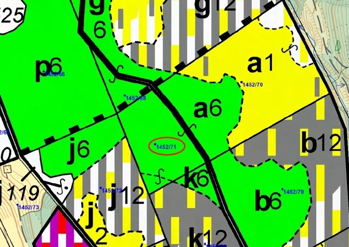 Lesní pozemek o výměře 6 298 m2, podíl 1/1, katastrální území Horní Lomná, obec Horní Lomná, obec s 