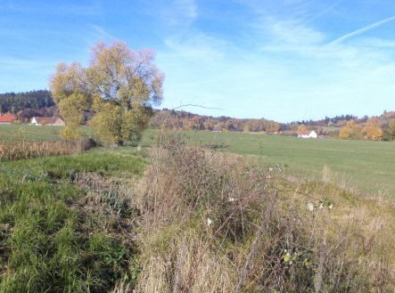 Prodej pozemku, zemědělská půda, 1 225 m²