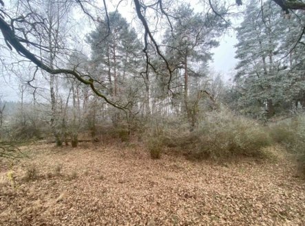 Prodej pozemku, zemědělská půda, 13 059 m² obrázek