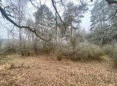 Prodej pozemku, zemědělská půda, 13 059 m²